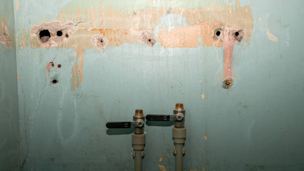 Reliable Kendall, FL Water damage restoration Solutions