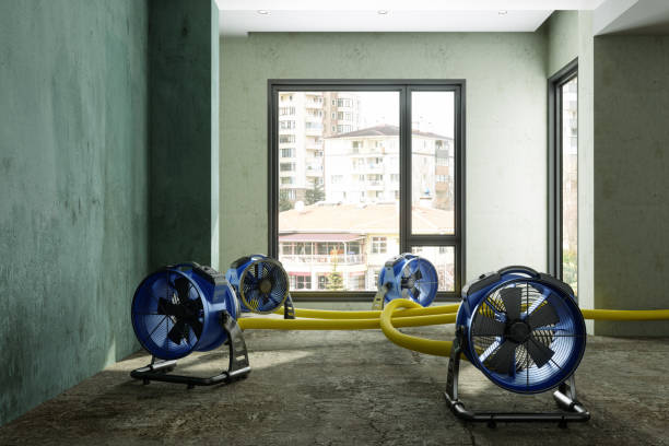 Carpet water damage restoration in Kendall, FL